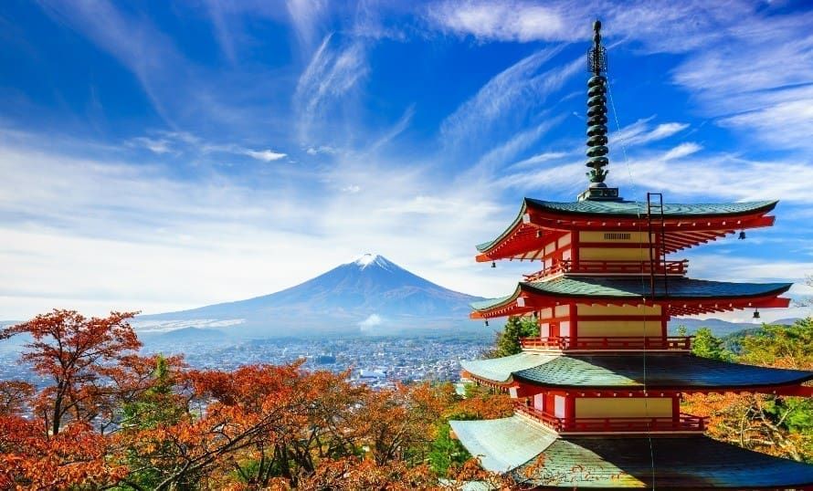 星野1955東京灣迪士尼與富士山景點包車五日遊 行程亮點