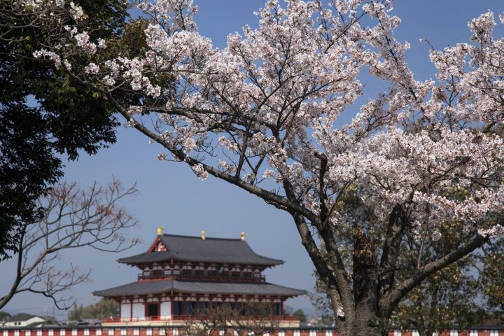 關西「奈良大阪櫻花」4日遊｜奈良公園・東大寺・春日大社