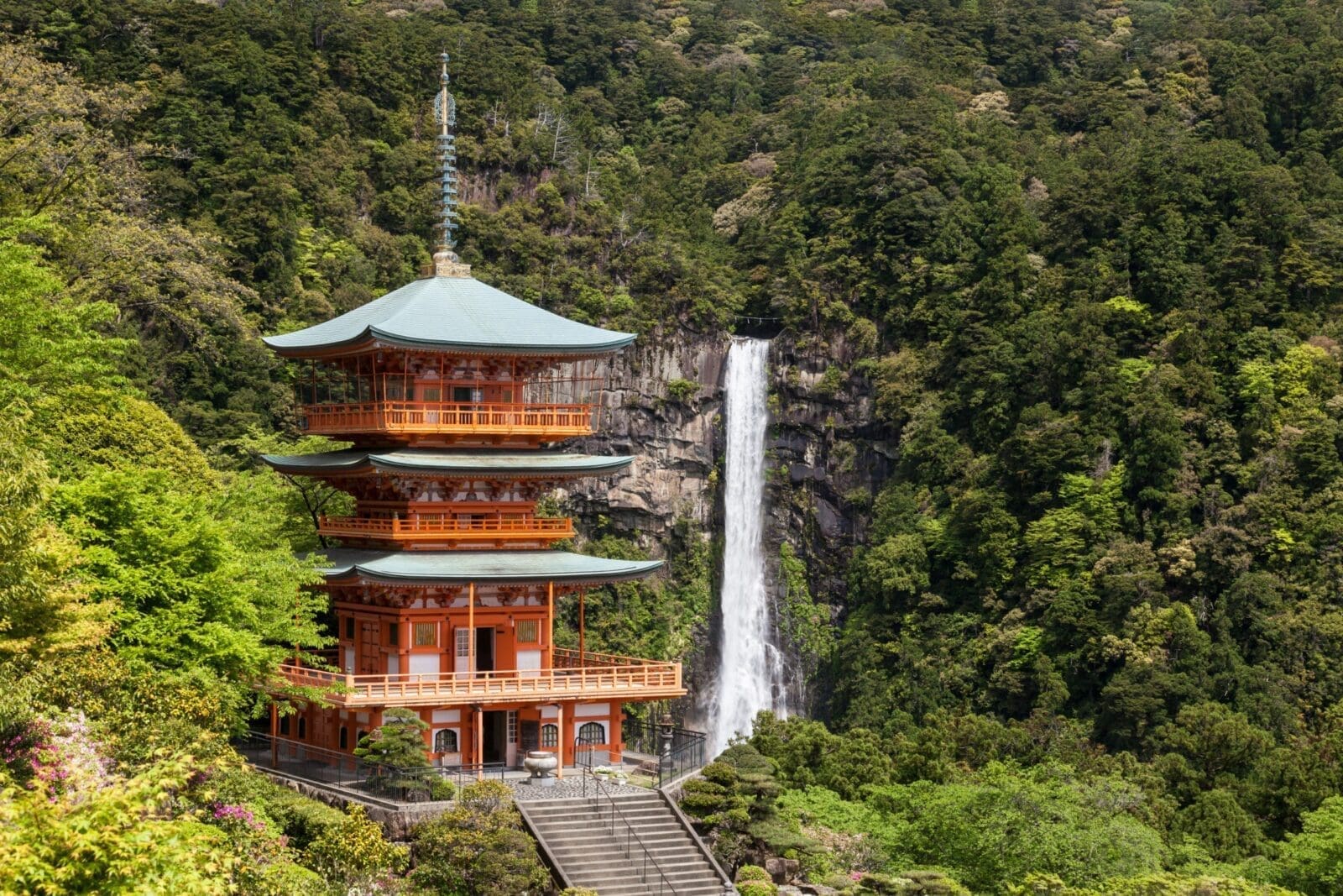 和歌山必去景點推薦｜自然絕景×文化遺產×貓咪車站一次攻略！