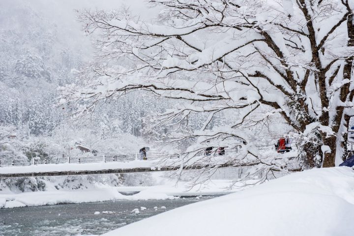 2026–2027日本雪季攻略｜月份、地區、熱門滑雪場與行前準備