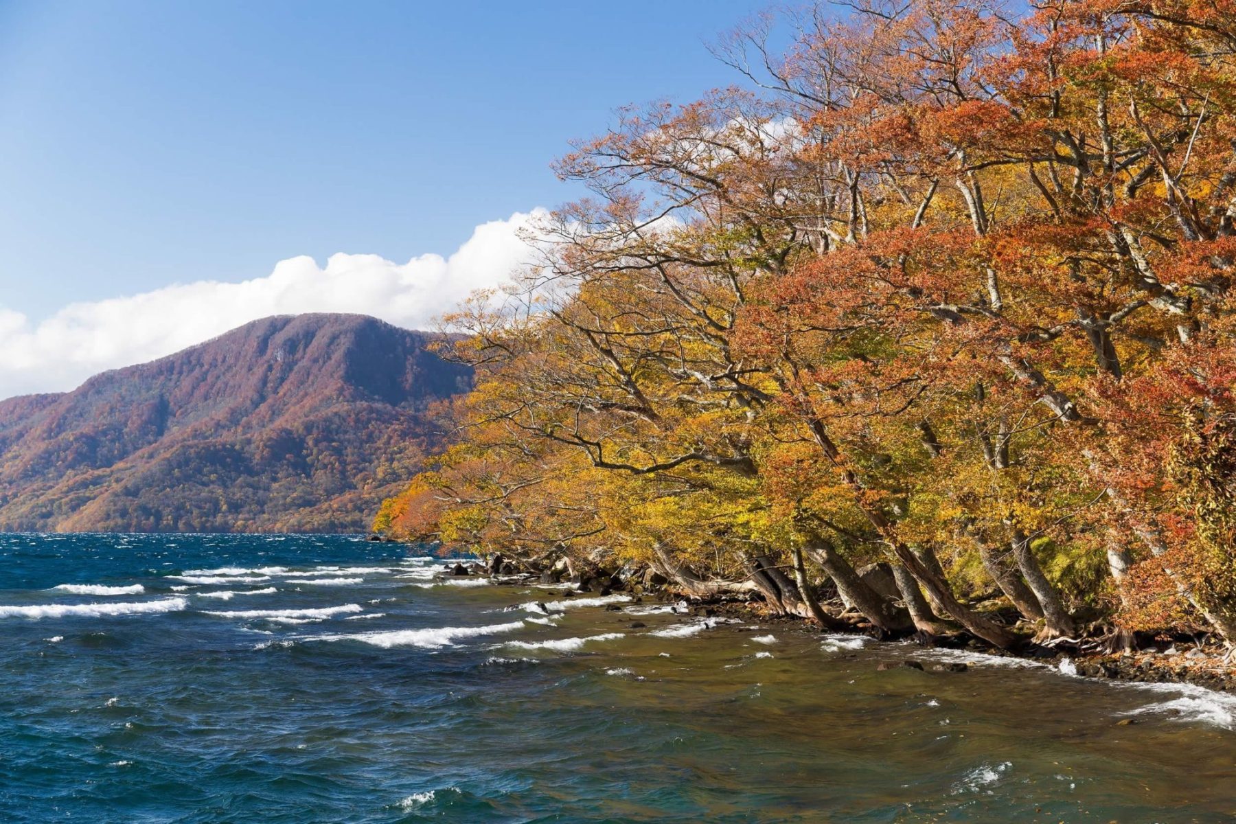 青森十和田湖秋季湖景與紅葉