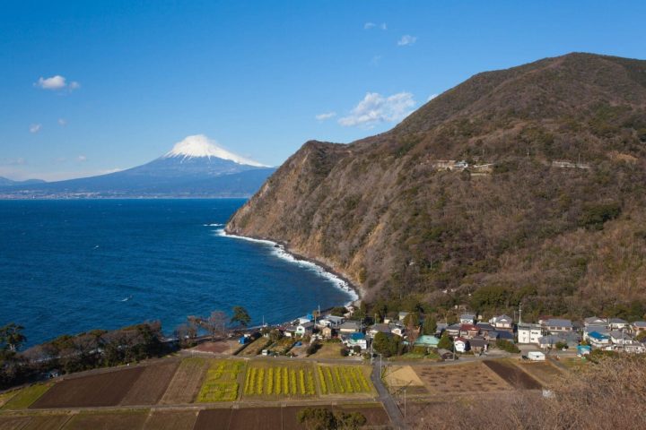 伊豆大室山、城崎海岸與修善寺一日遊