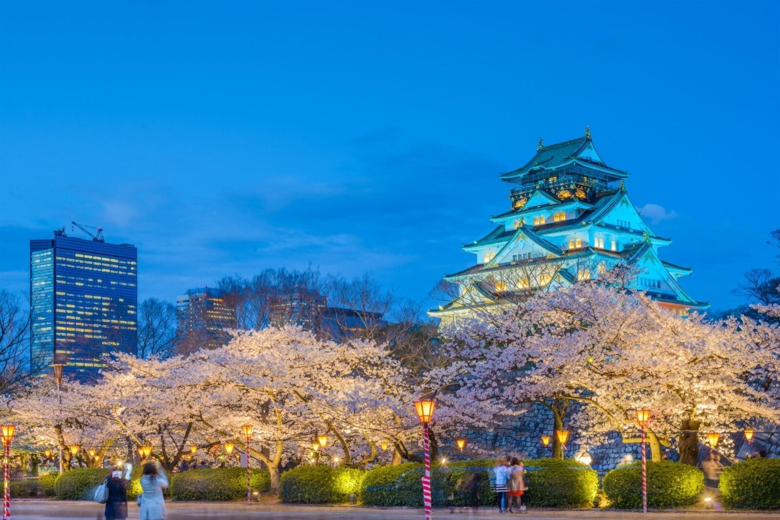 大阪神戶賞櫻必去五大景點|2026 關西櫻花名所與最佳花期攻略