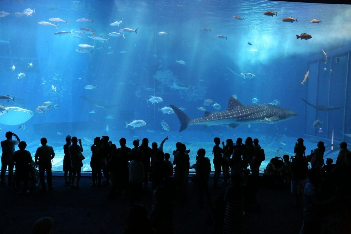 瀨長島水族館玉泉洞3日遊