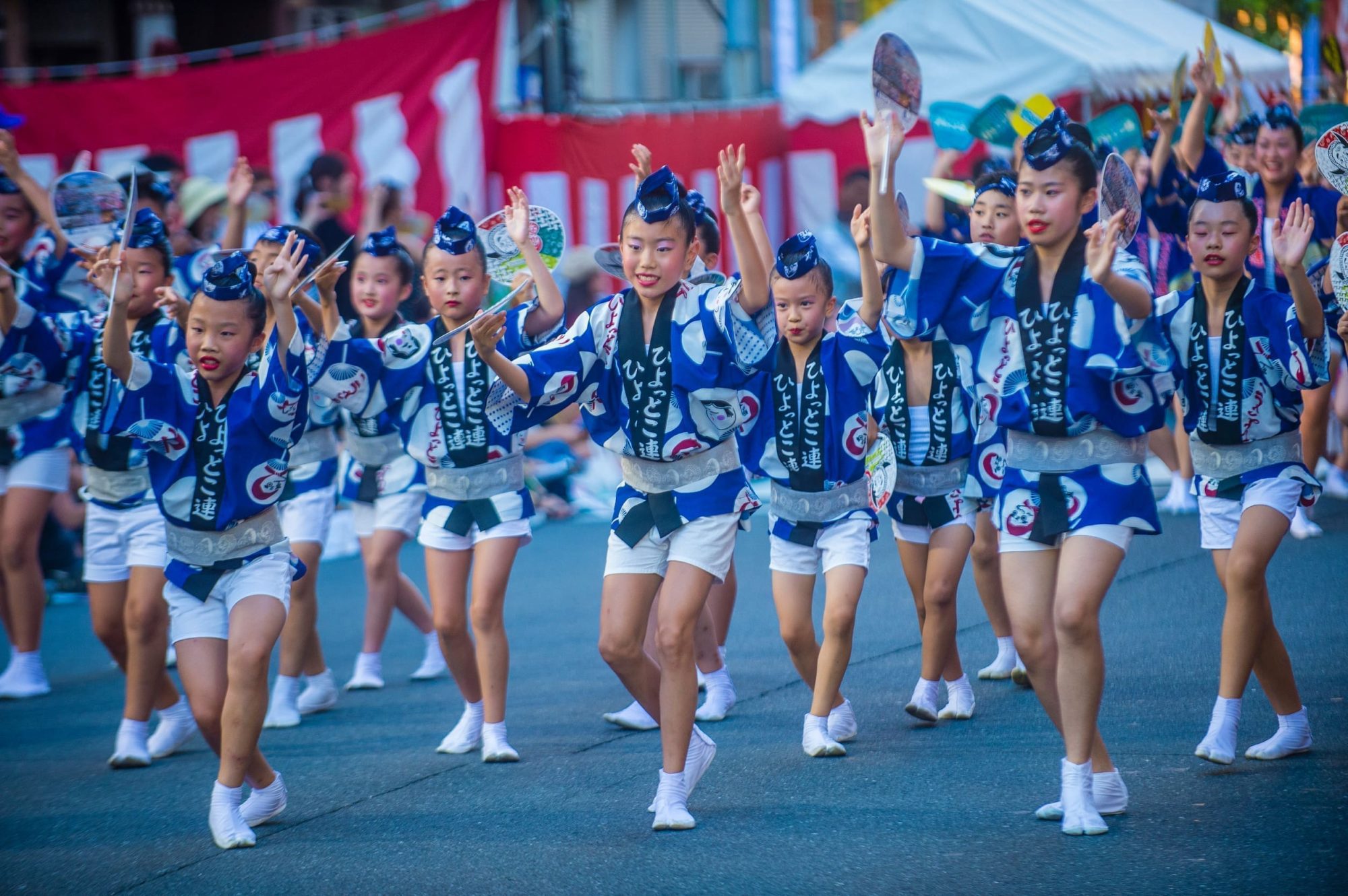 德島阿波舞夏祭傳統舞蹈