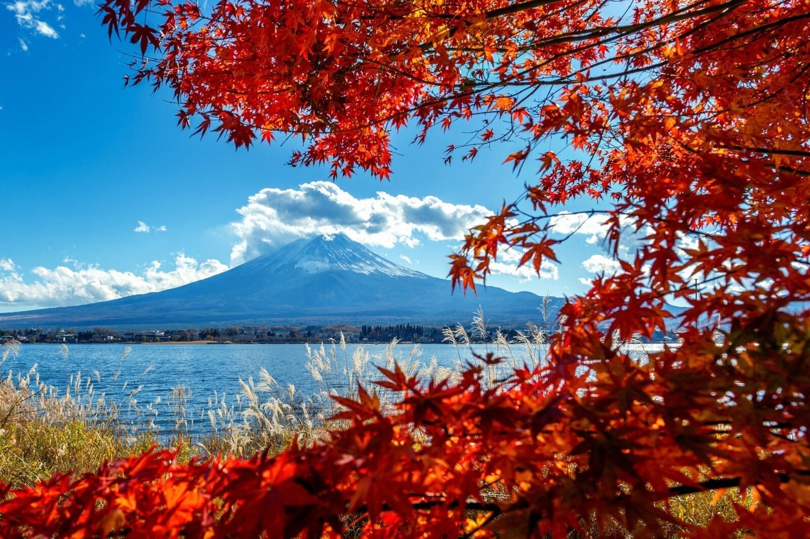 第27屆富士山河口湖紅葉祭