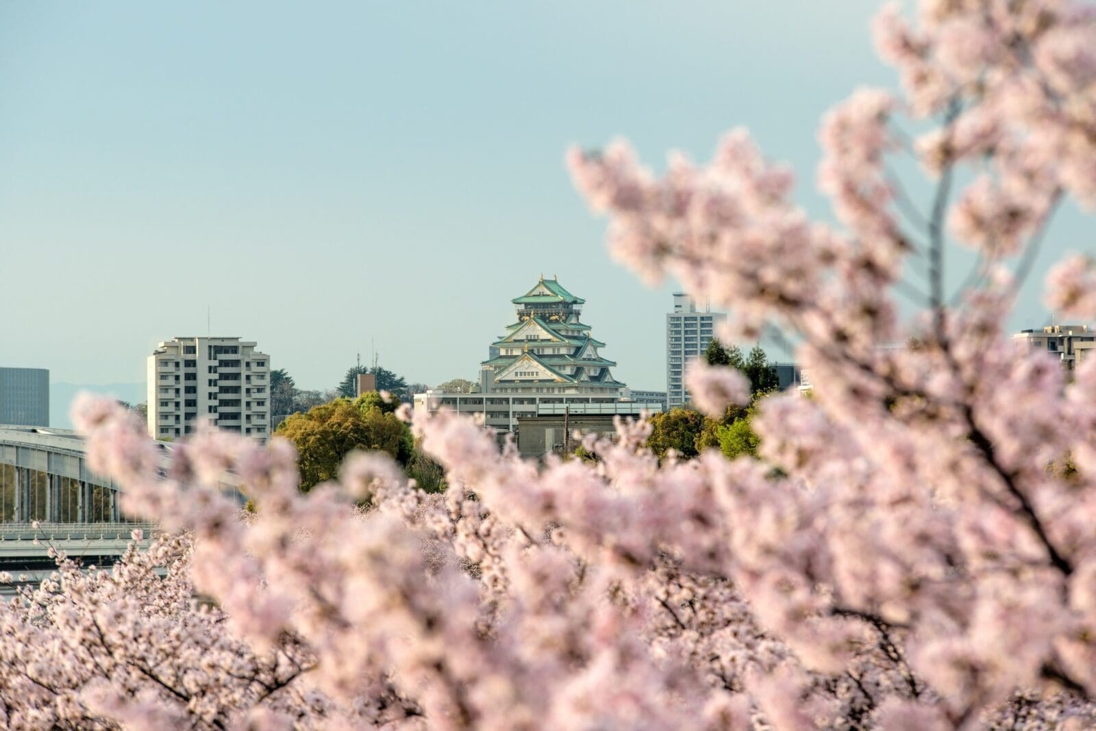 日本關西地區3-4月賞櫻景點推薦