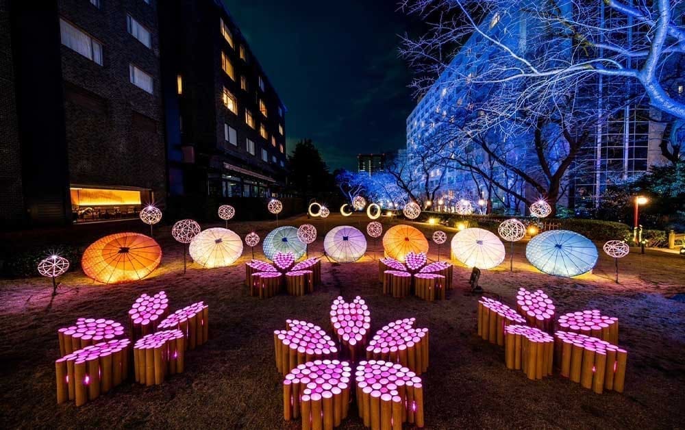 東京高輪櫻花祭夜櫻點燈、花道體驗、限定美食