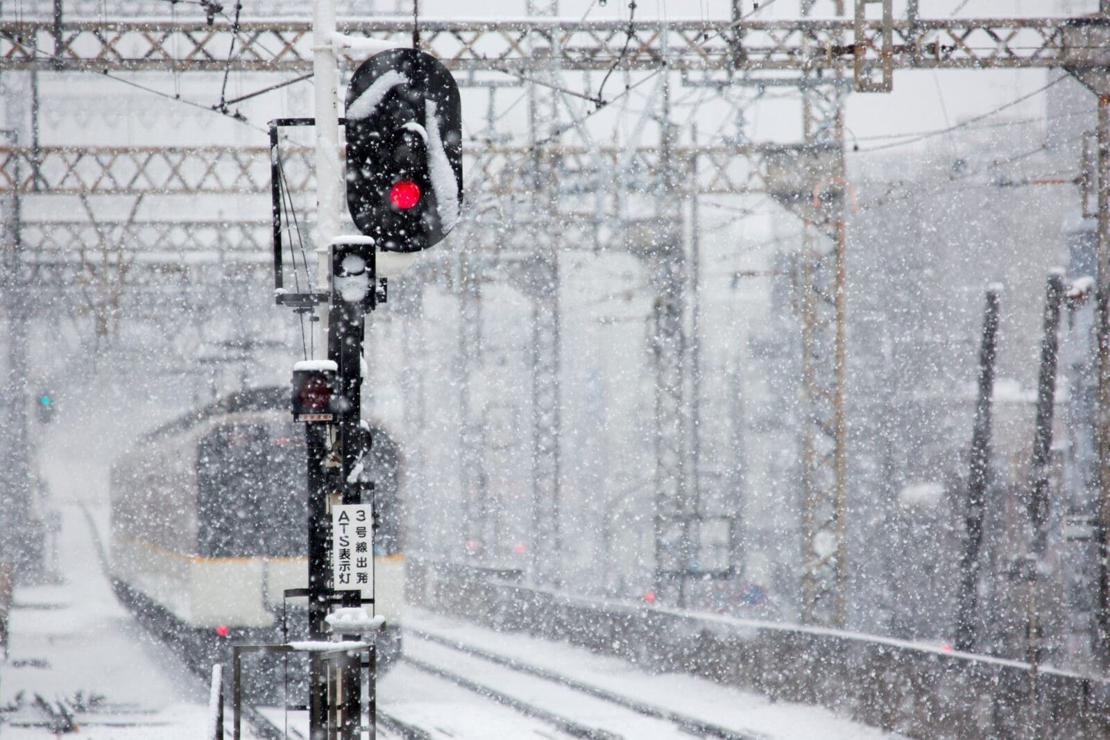 12月東京迎來浪漫初雪｜冬季日本旅行必知天氣與景點推薦