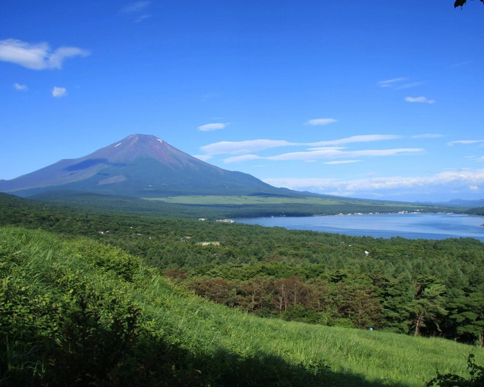 全新富士山觀景點-山中湖明神山全景台