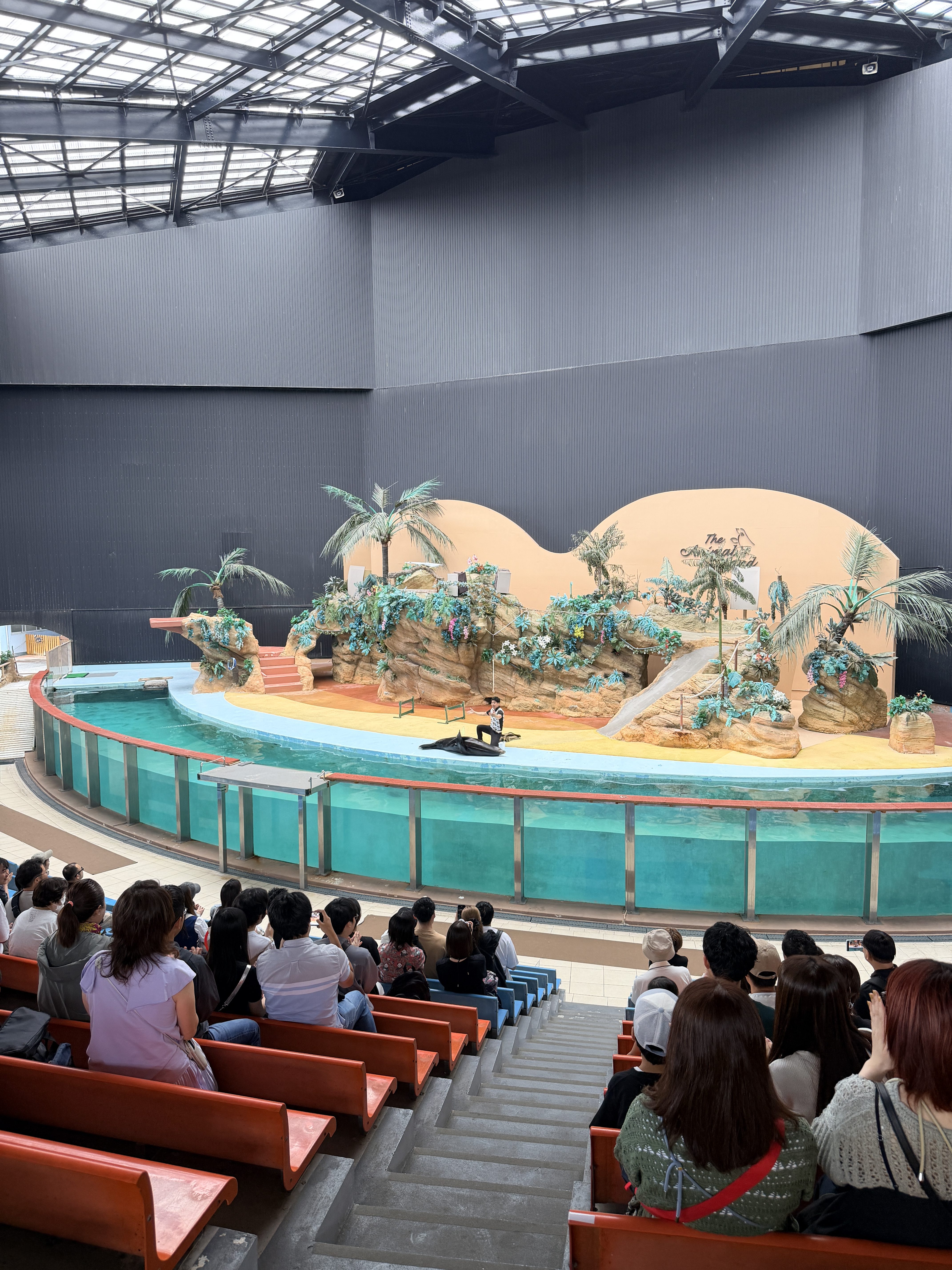 Adventure World Animal Action 表演現場