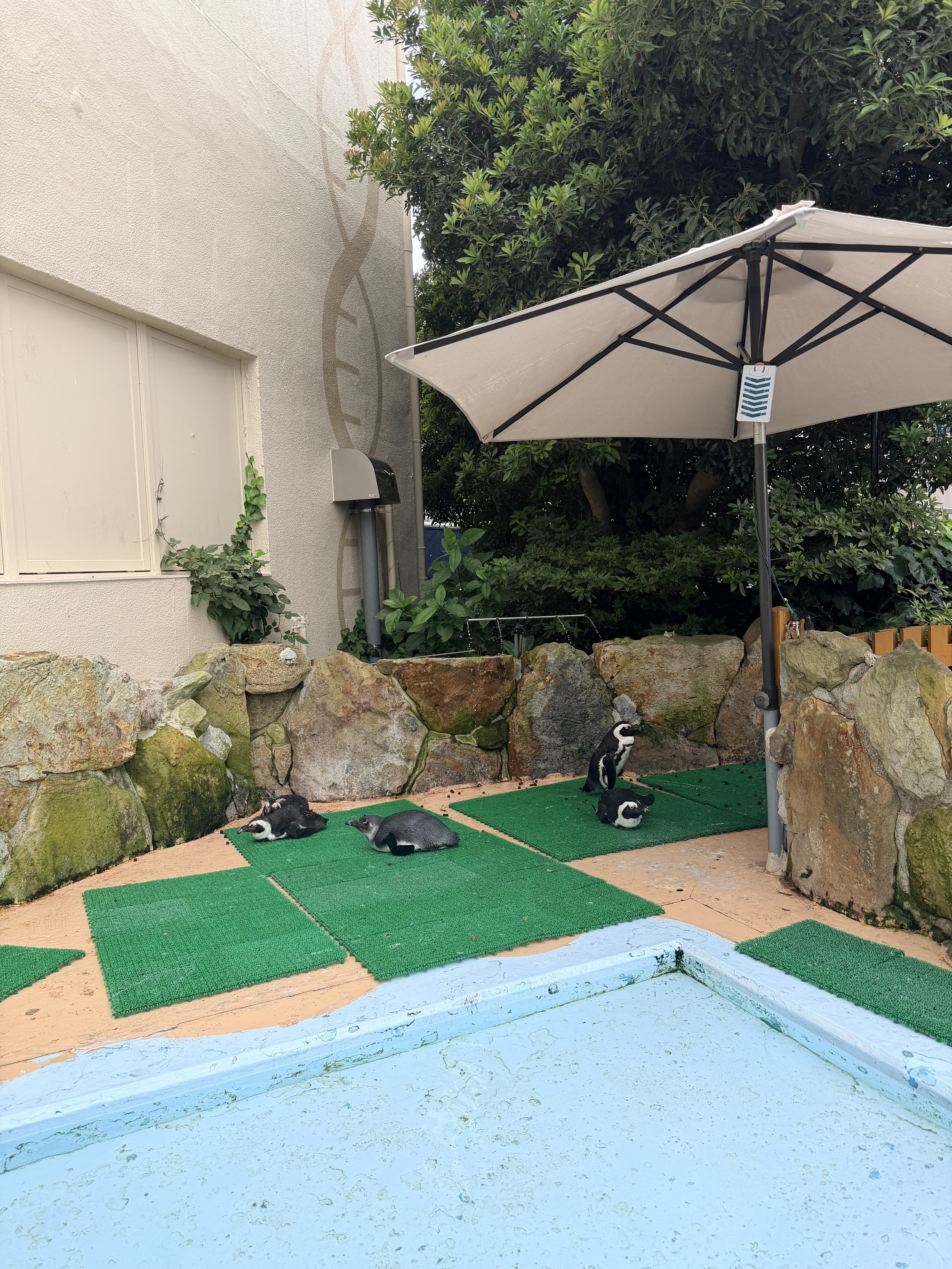 Adventure World 室內動物展示空間