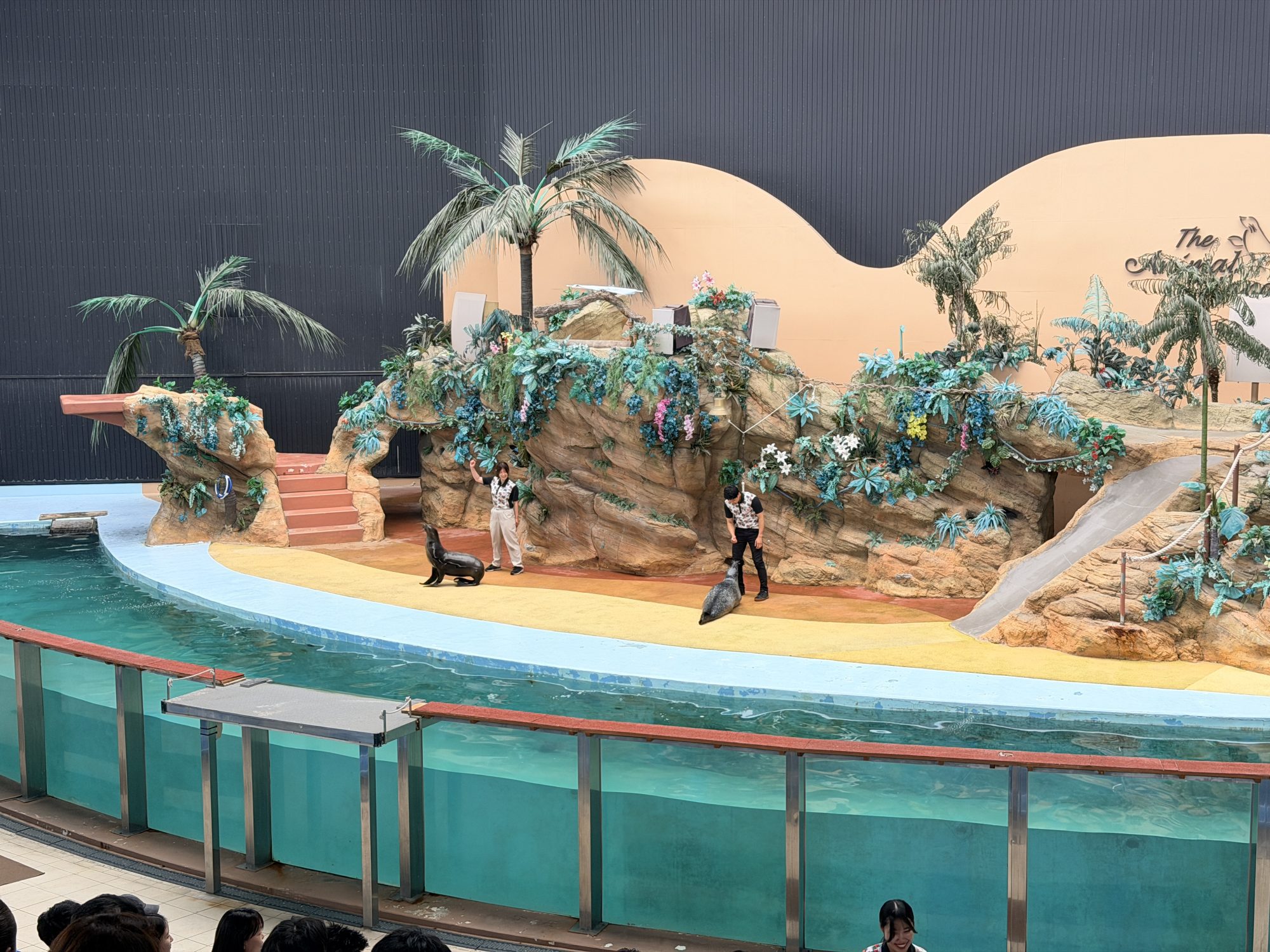 Adventure World 動物表演的互動演出