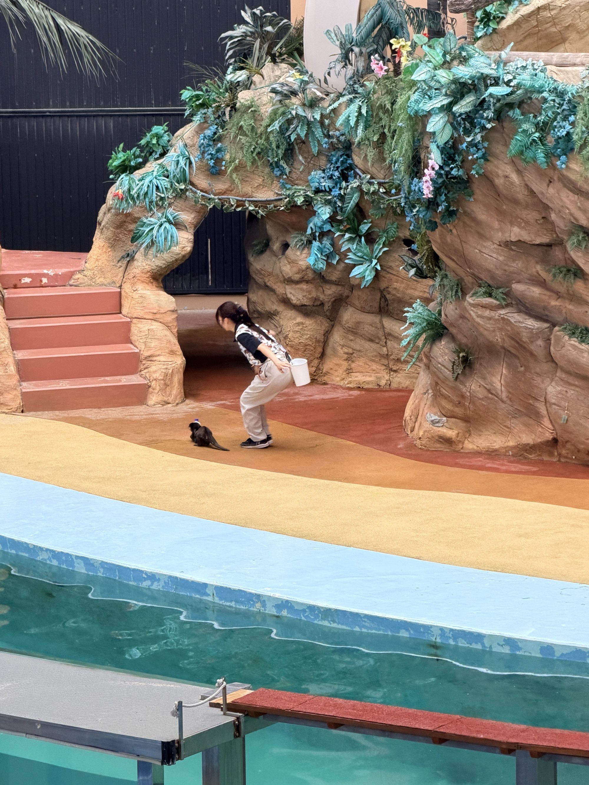 Adventure World 動物表演觀眾席與舞台全景