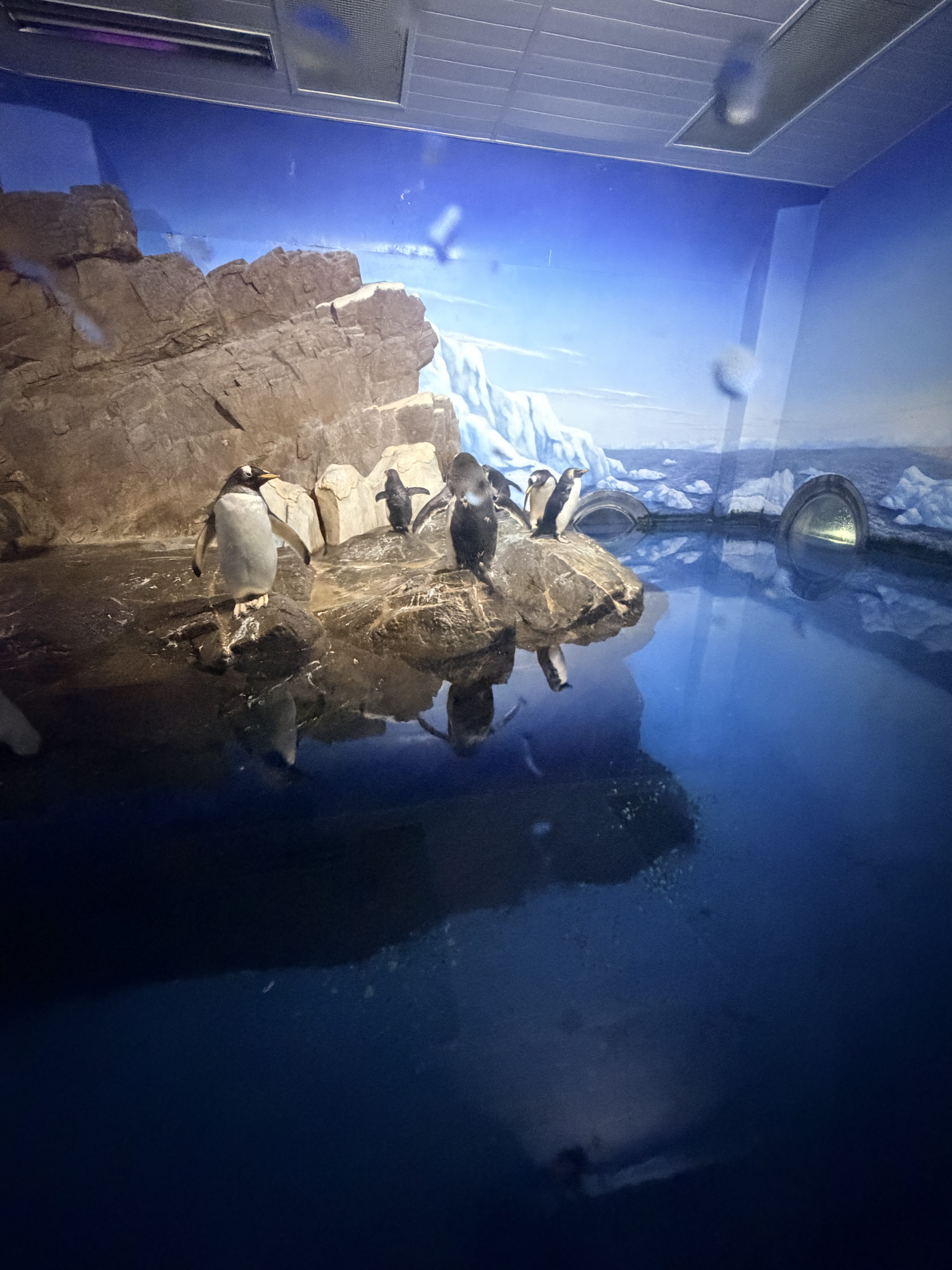 Adventure World Marine World 室內水族展示區