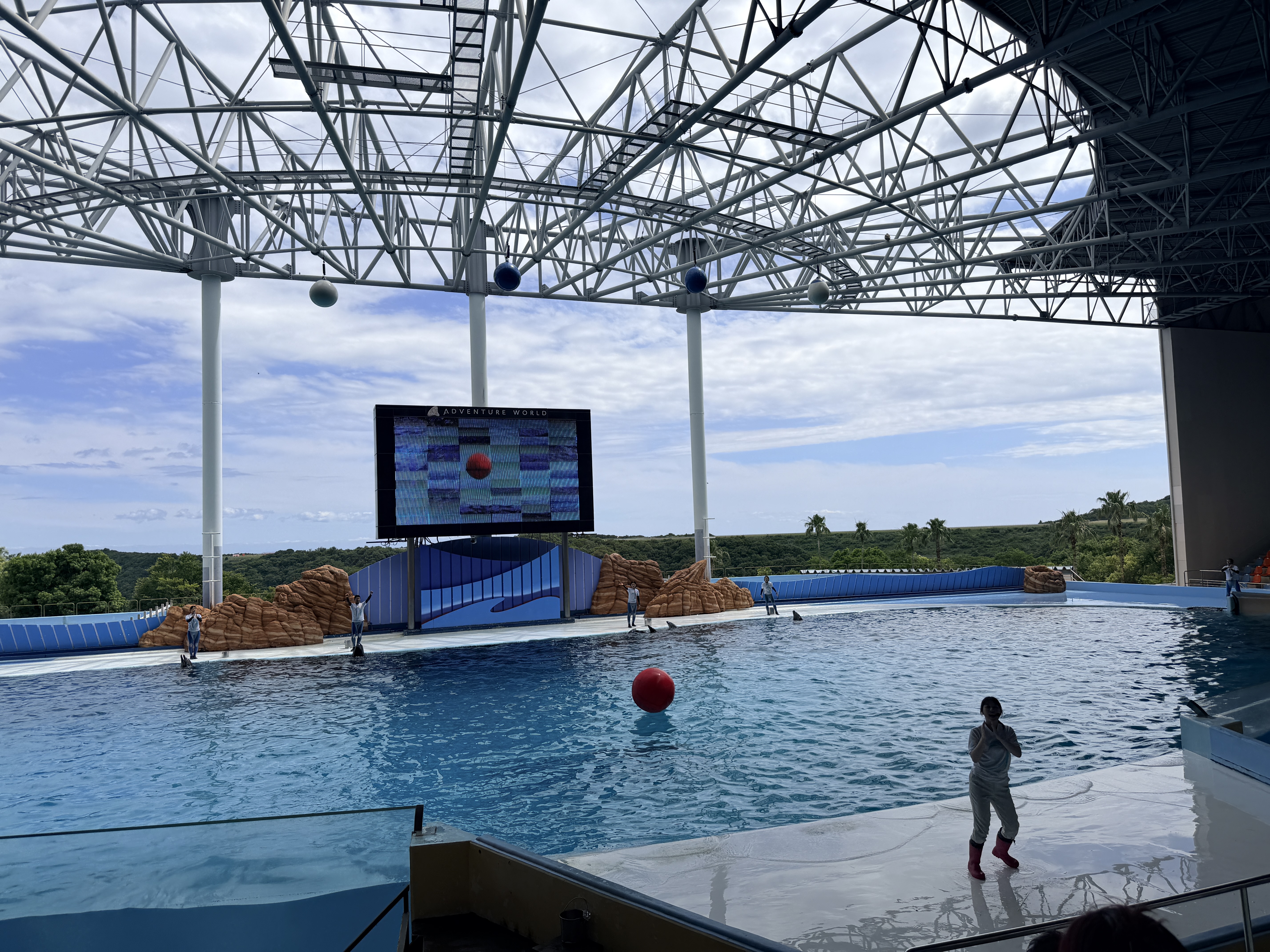 Adventure World Big Ocean 海豚躍出水面的表演
