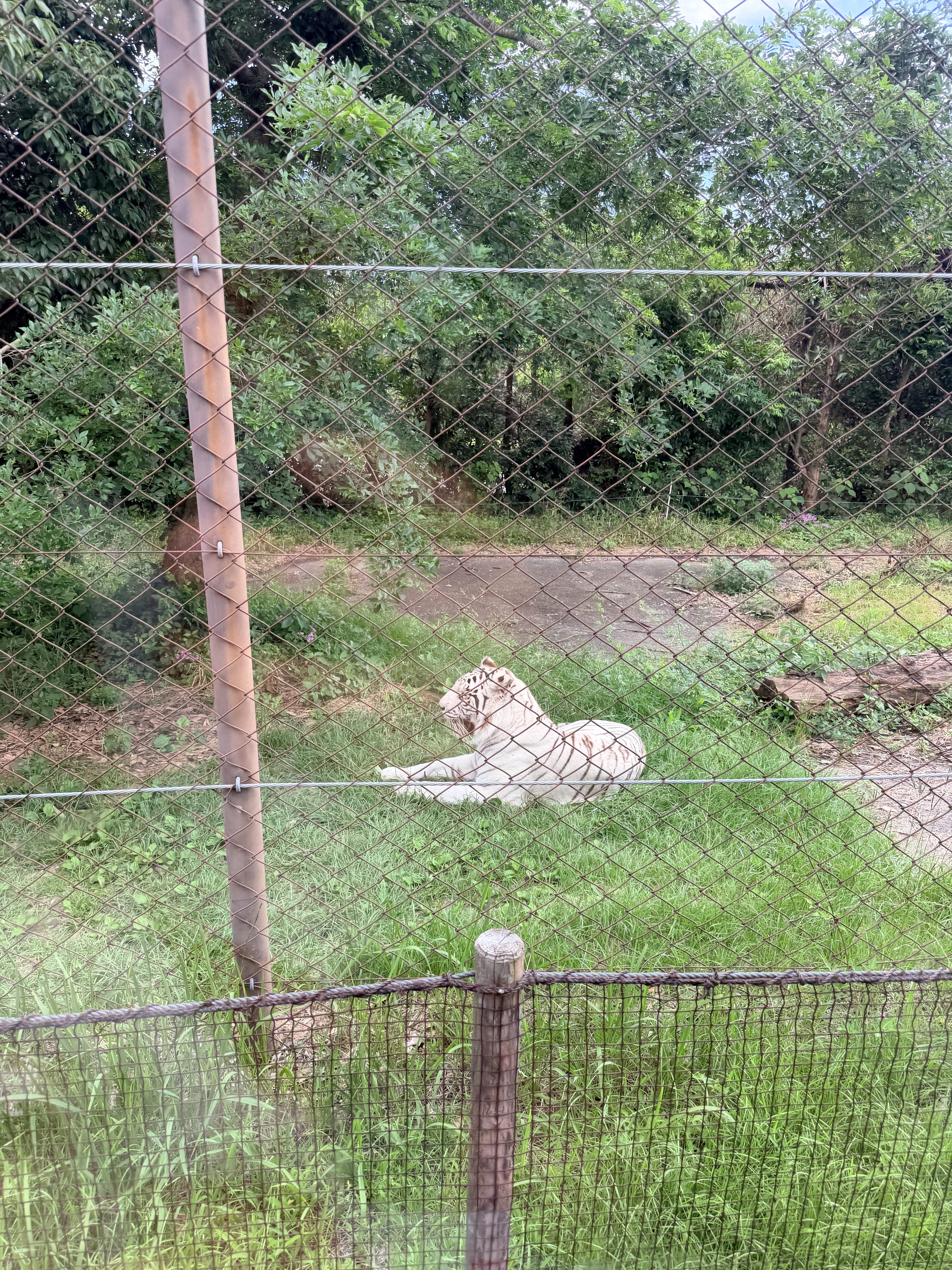 Adventure World Safari World 草食動物展示