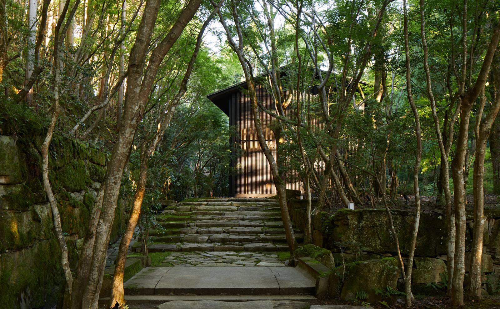 京都安縵｜林間石階小徑與兩側的苔地、樹木