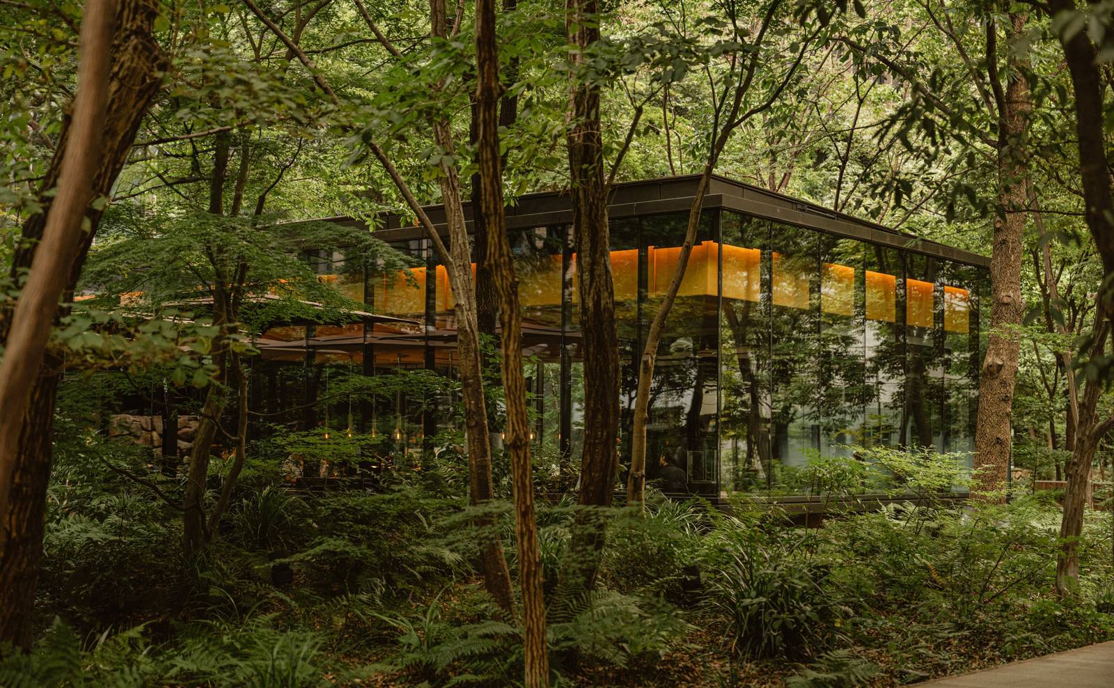 東京安縵｜樹林中的玻璃咖啡館建築