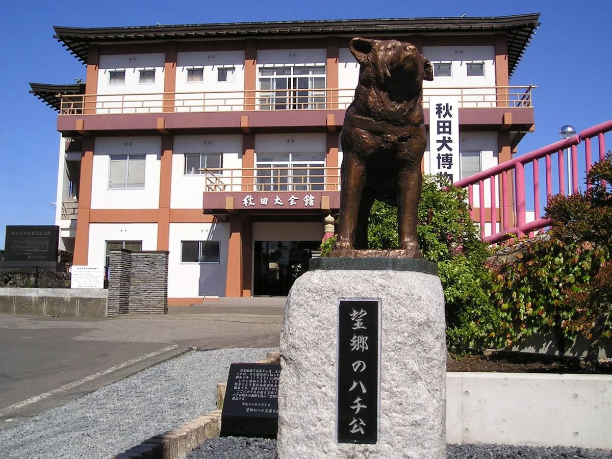 弘前城雪燈籠祭