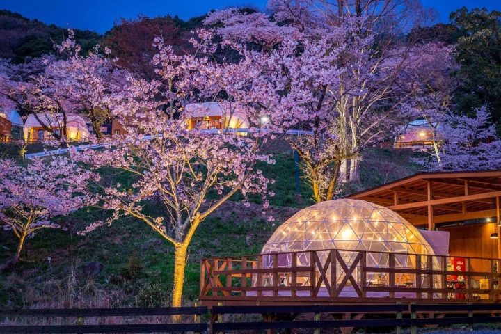 東京「茨城星空露營溫泉-大川莊」5日遊｜茨城星空露營溫泉-大川莊