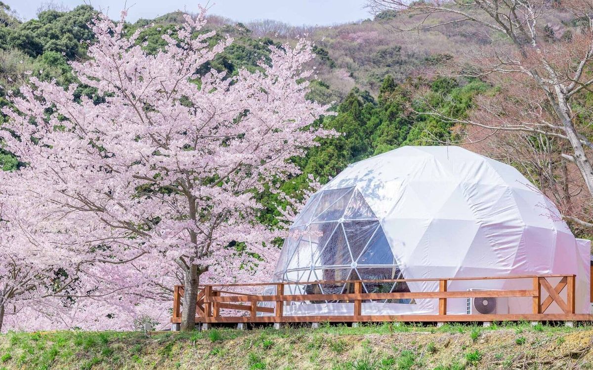 中文接機 – AURA TERACE獨棟豪華星空露營 → AURA TERACE