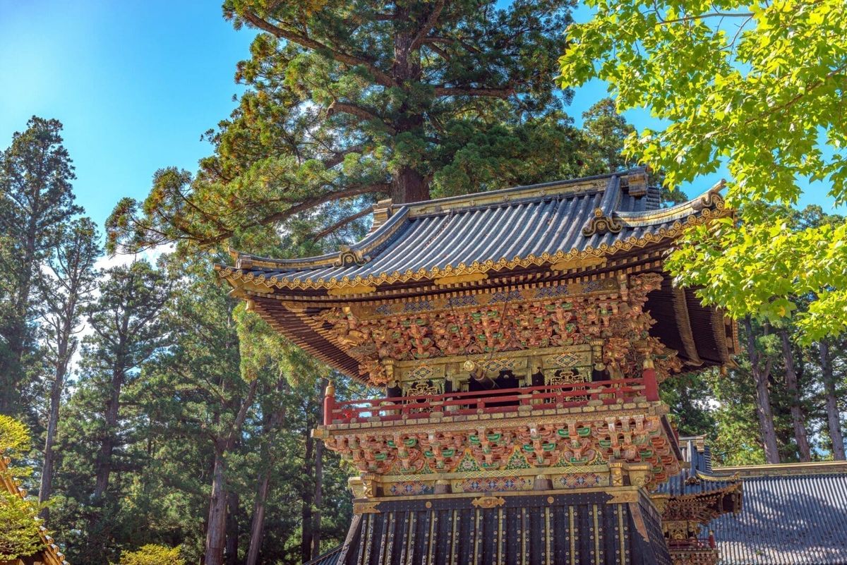 東京足利賞楓六日遊