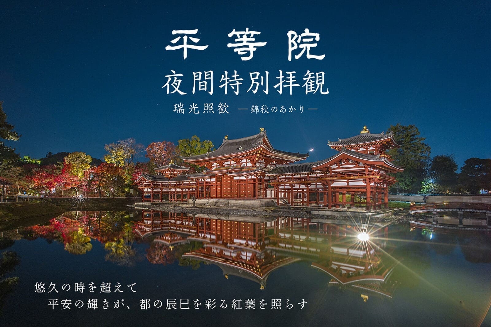 1京都平等院秋季賞楓與夜間燈光秀