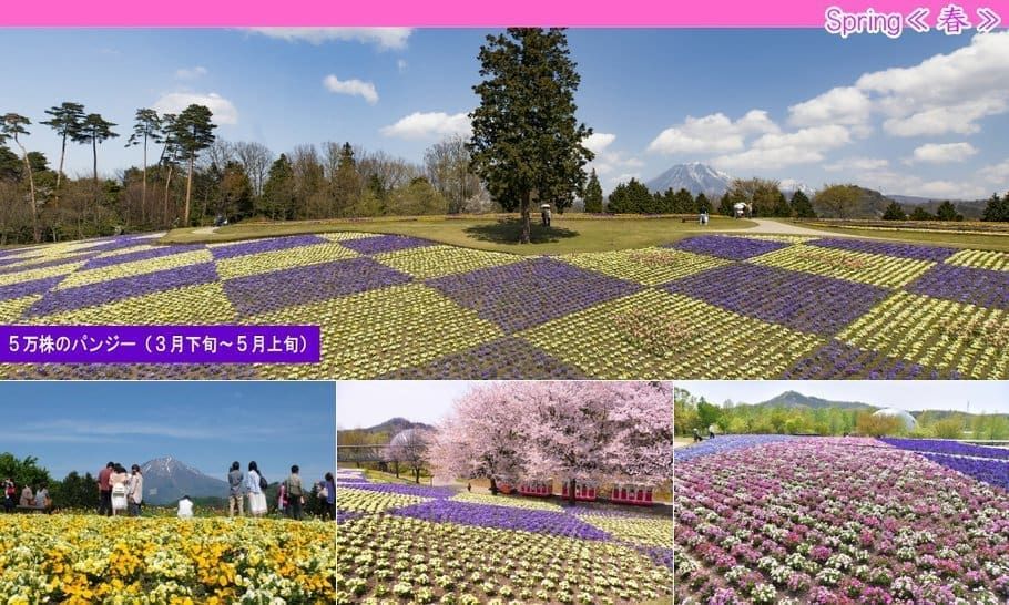 山陰大阪七日