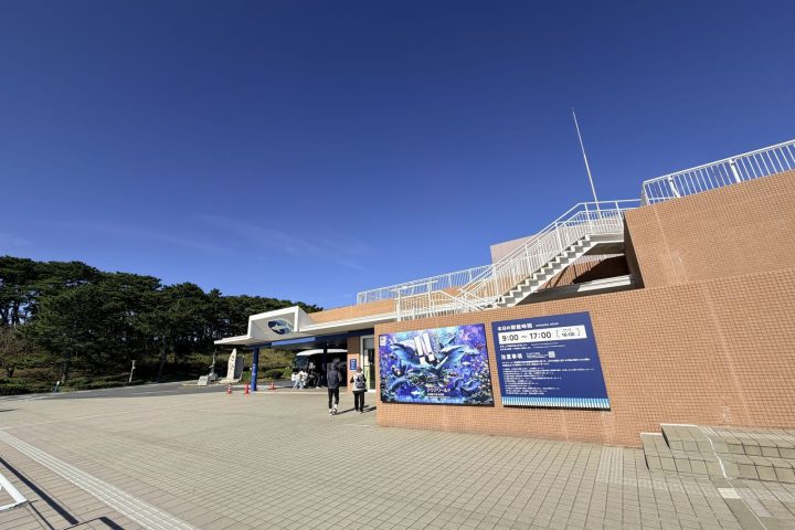2026 茨城大洗水族館 Aqua World 攻略|門票、Ocean Live、鯊魚展與包車交通