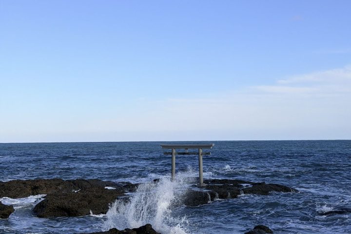 2026 大洗磯前神社攻略|神磯鳥居、參拜動線、開門時間與包車交通