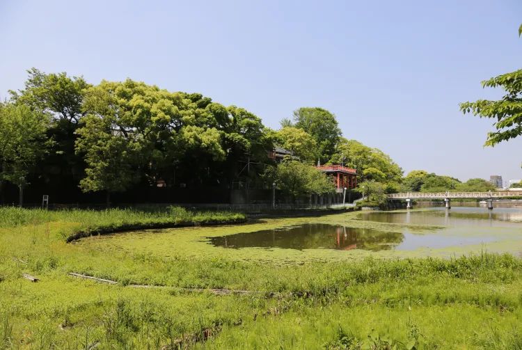 北野異人館街