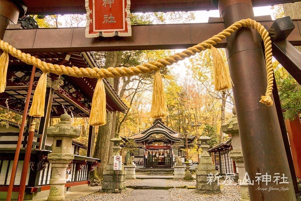 西湖療癒之里根場