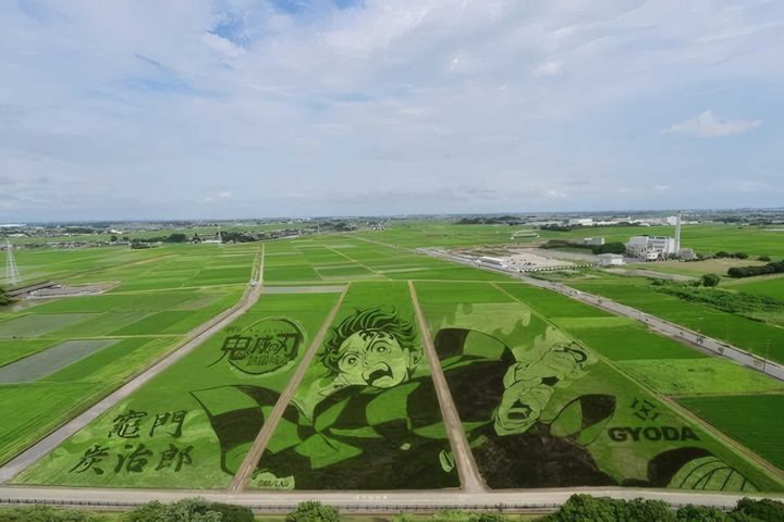 東京「鬼滅之刃主題」5日遊｜炭治郎巨型稻田畫・足利花卉公園