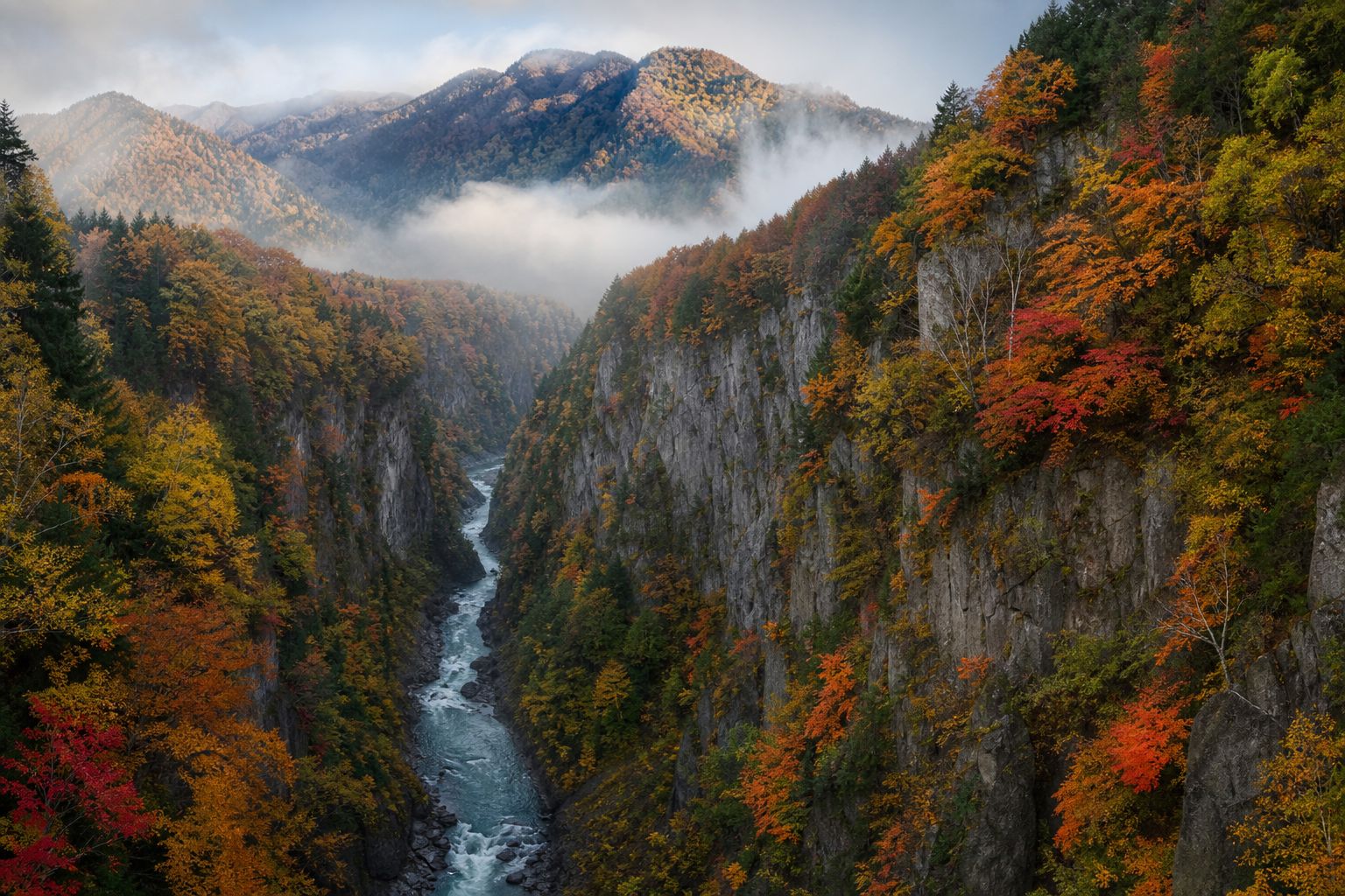 北海道峽谷早秋紅葉山林景色