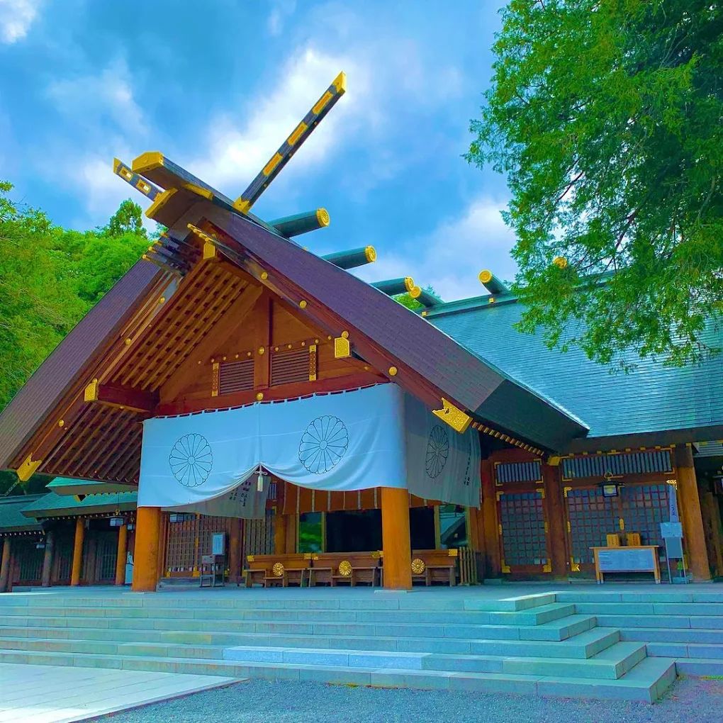 BEAR Mt.野生熊牧場