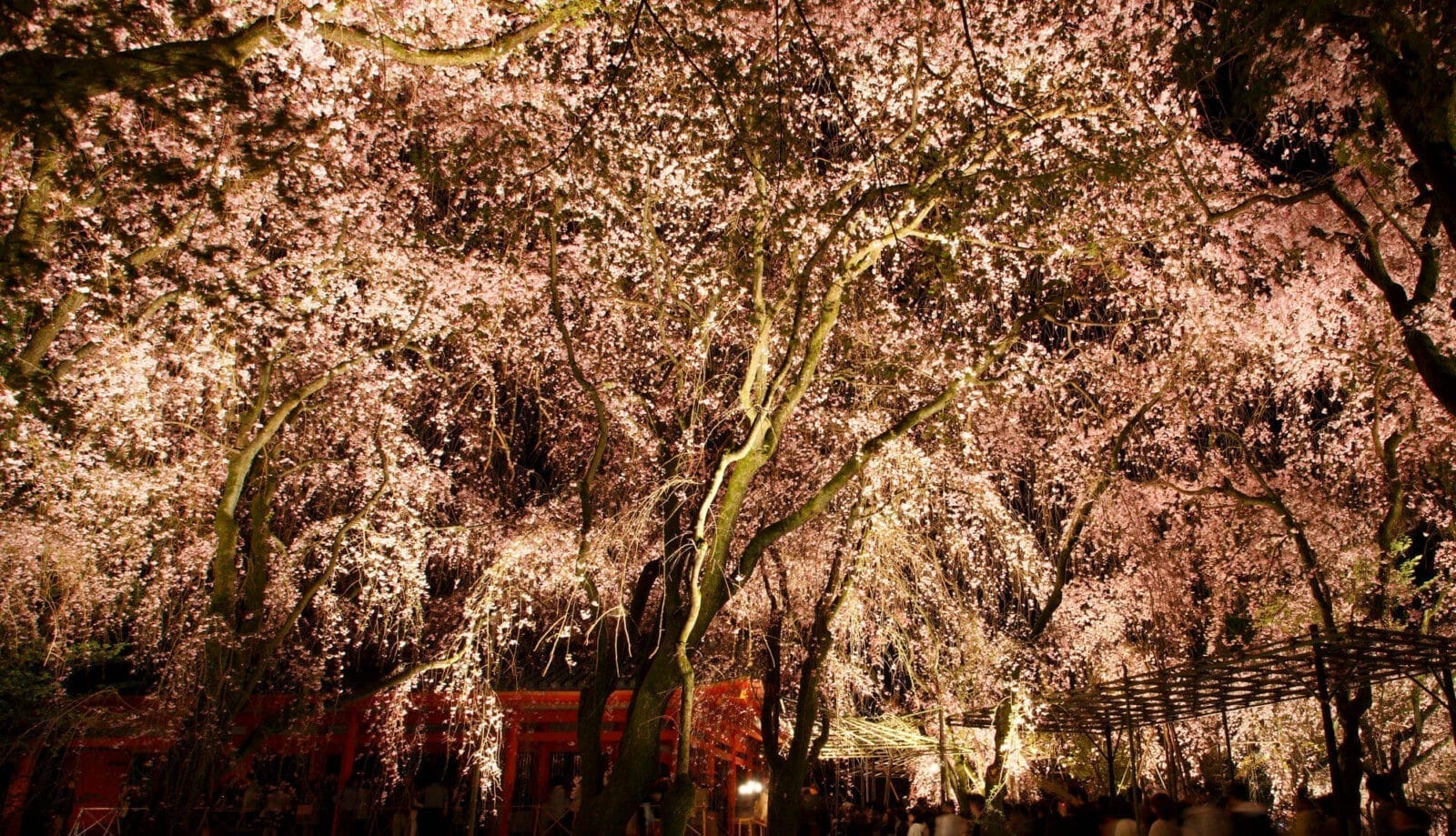京都平安神宮建築與庭園景色