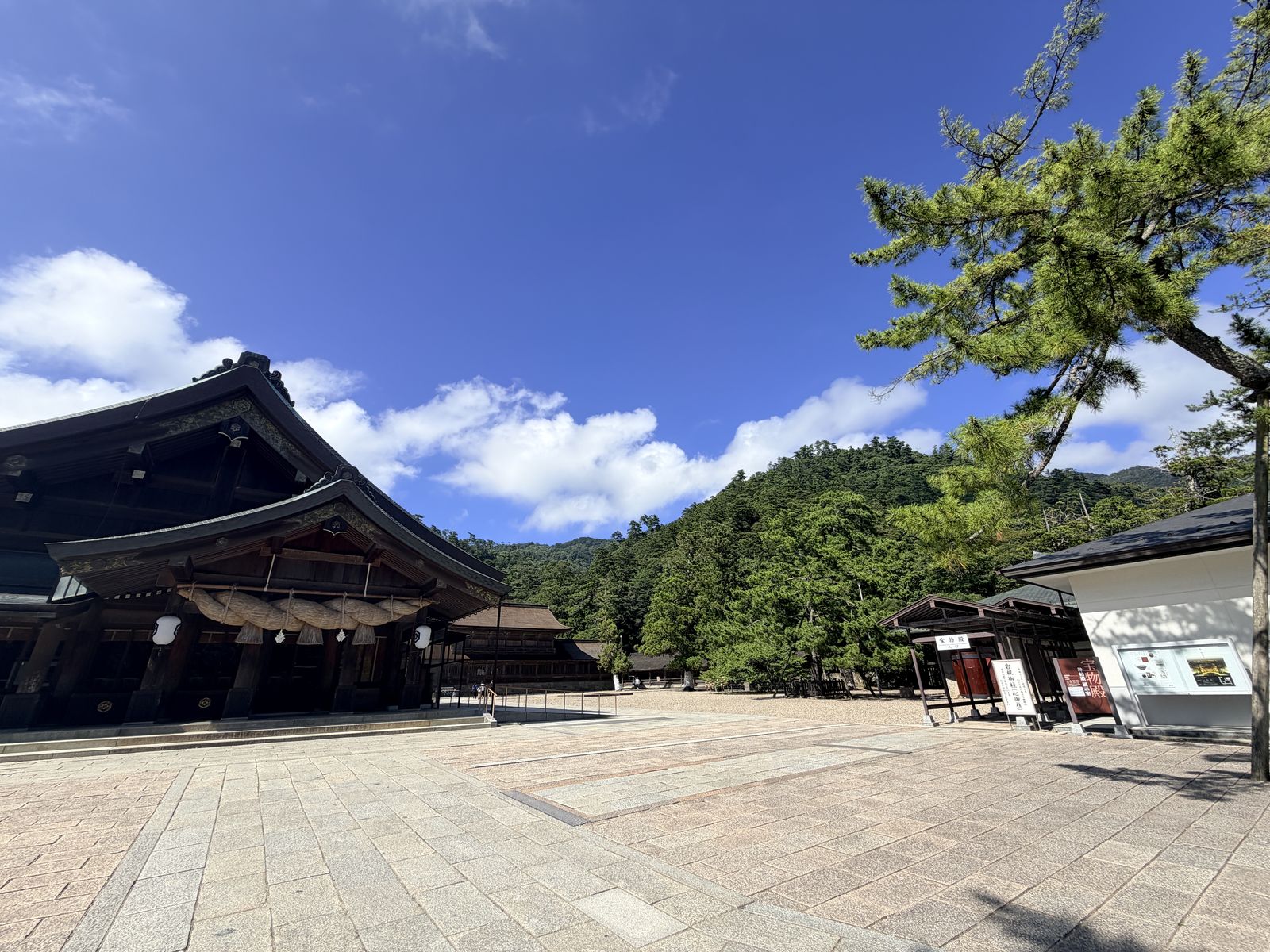 神樂殿廣場側邊與神社屋頂、樹林
