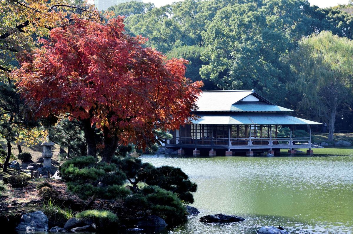 關東彼岸花季紅葉包車四日遊 行程亮點