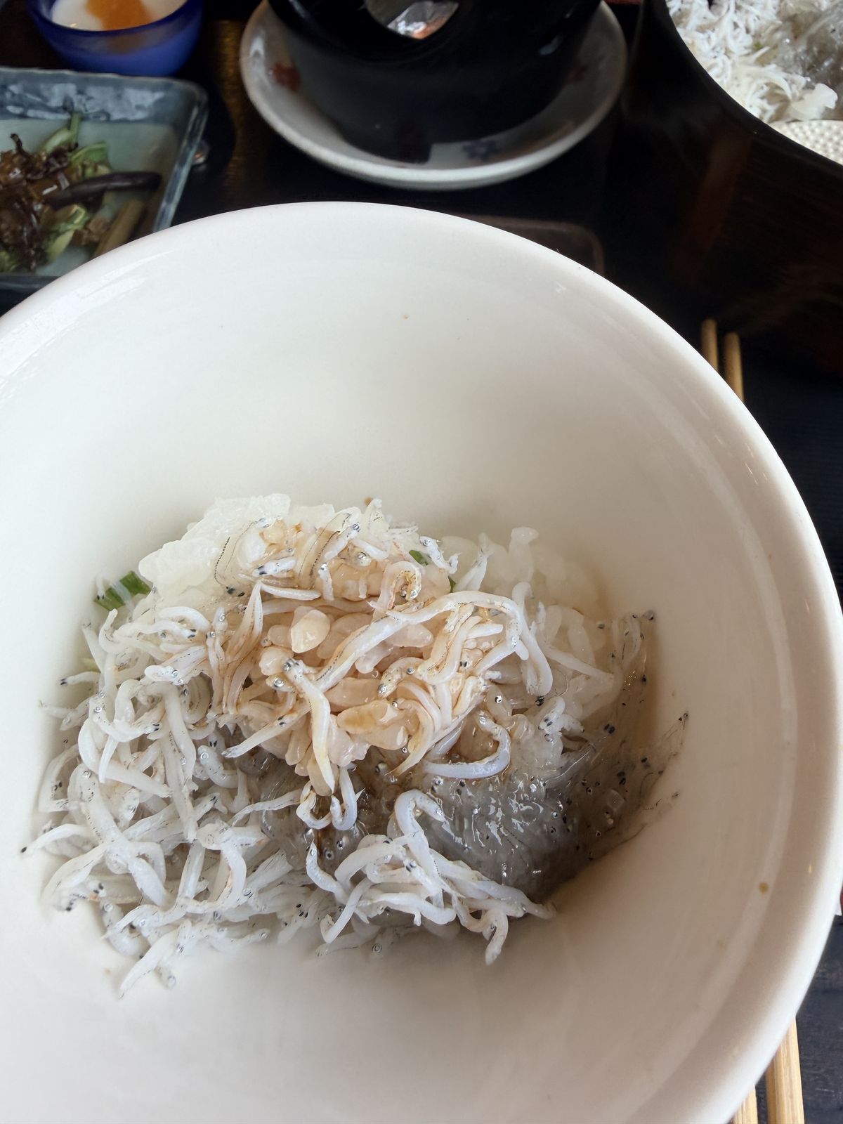 舘山寺園提供的吻仔魚小菜搭配米飯特寫