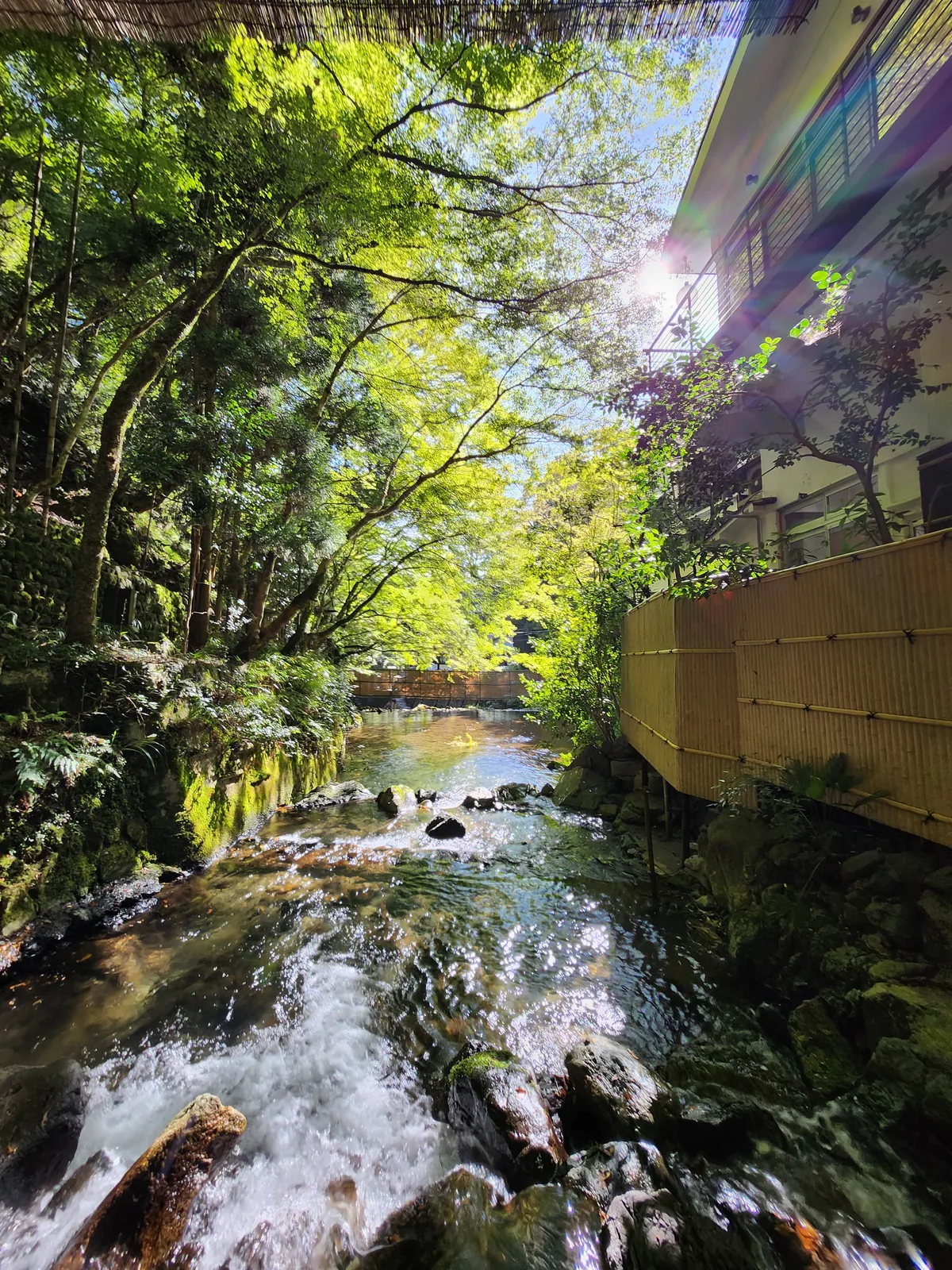 京都貴船川床旁清澈溪流與林間陽光