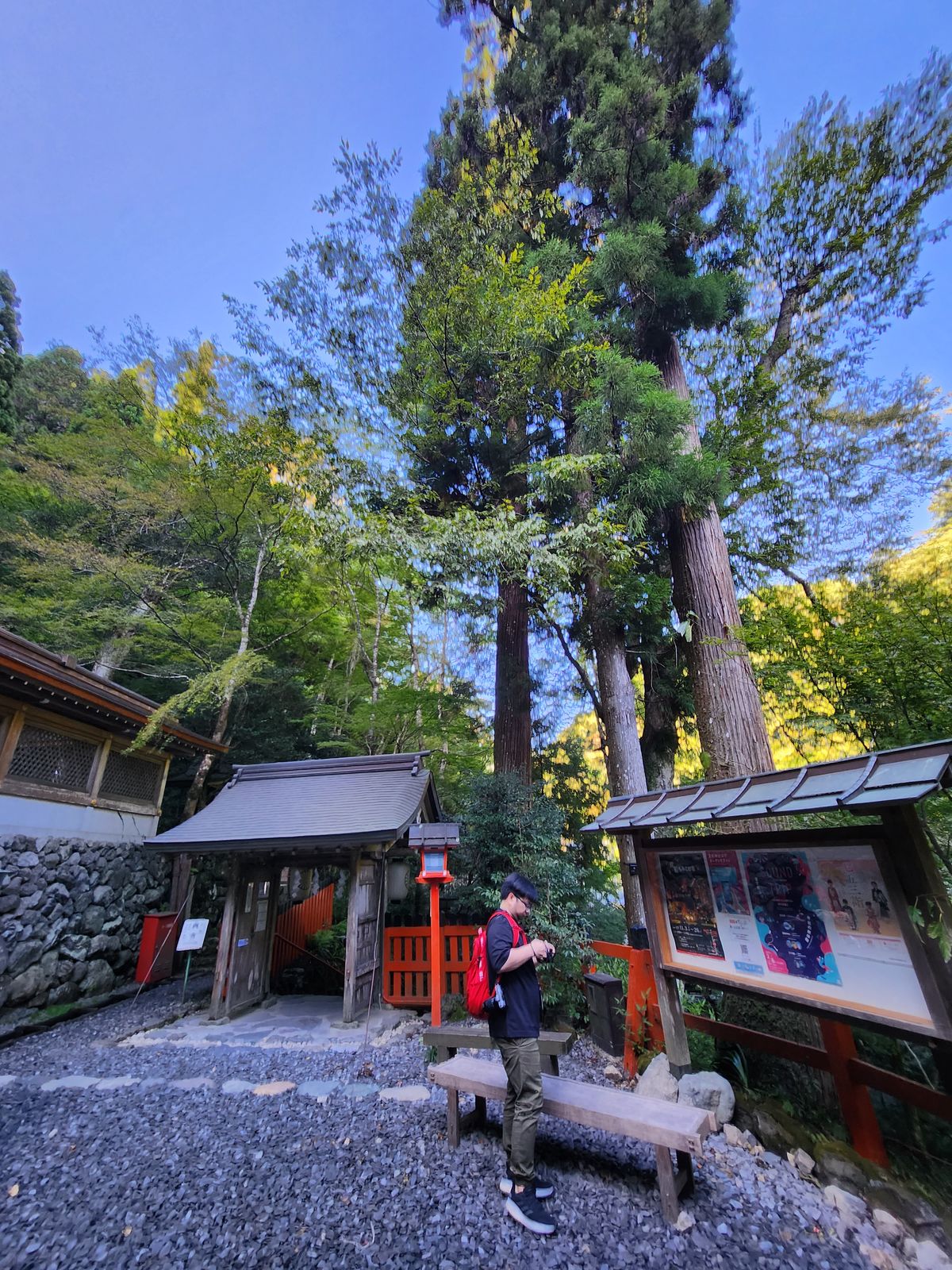 貴船神社境內大樹與石庭