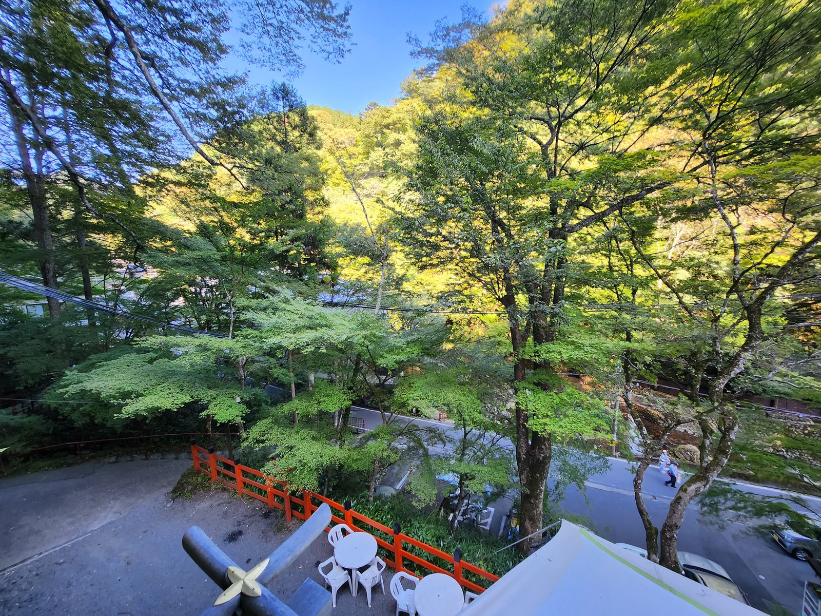 貴船神社楓葉樹蔭下的參道欄杆