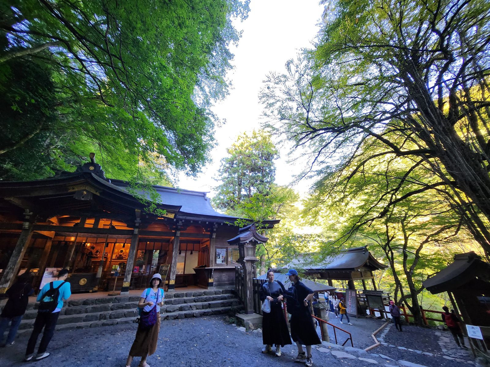 貴船神社黃昏境內燈火與樹林