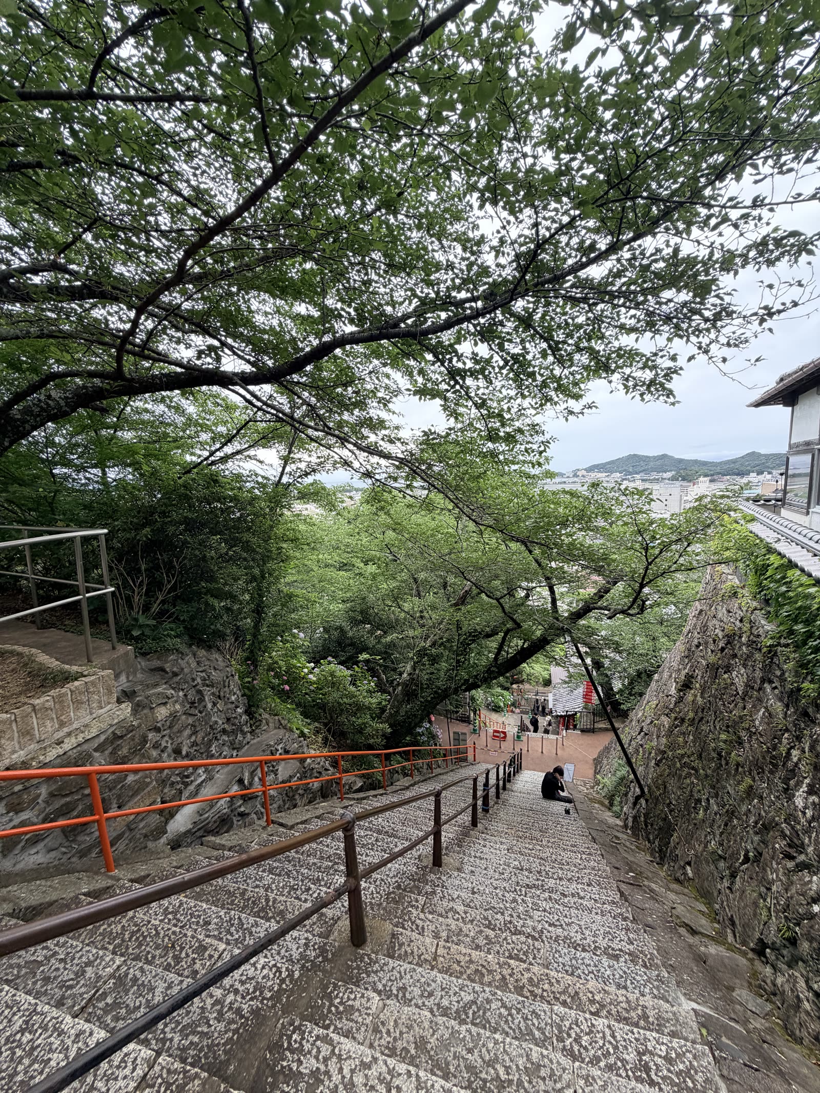 紀三井寺由山上往下看的231階石梯