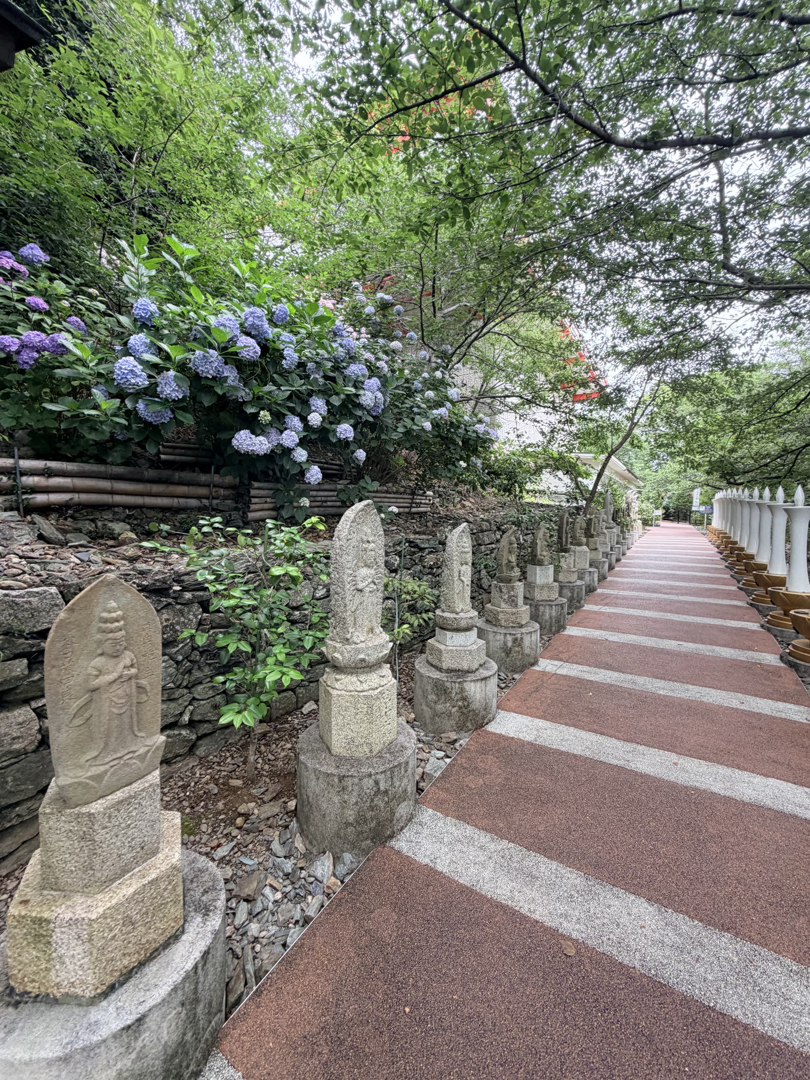 紀三井寺境內繡球花步道