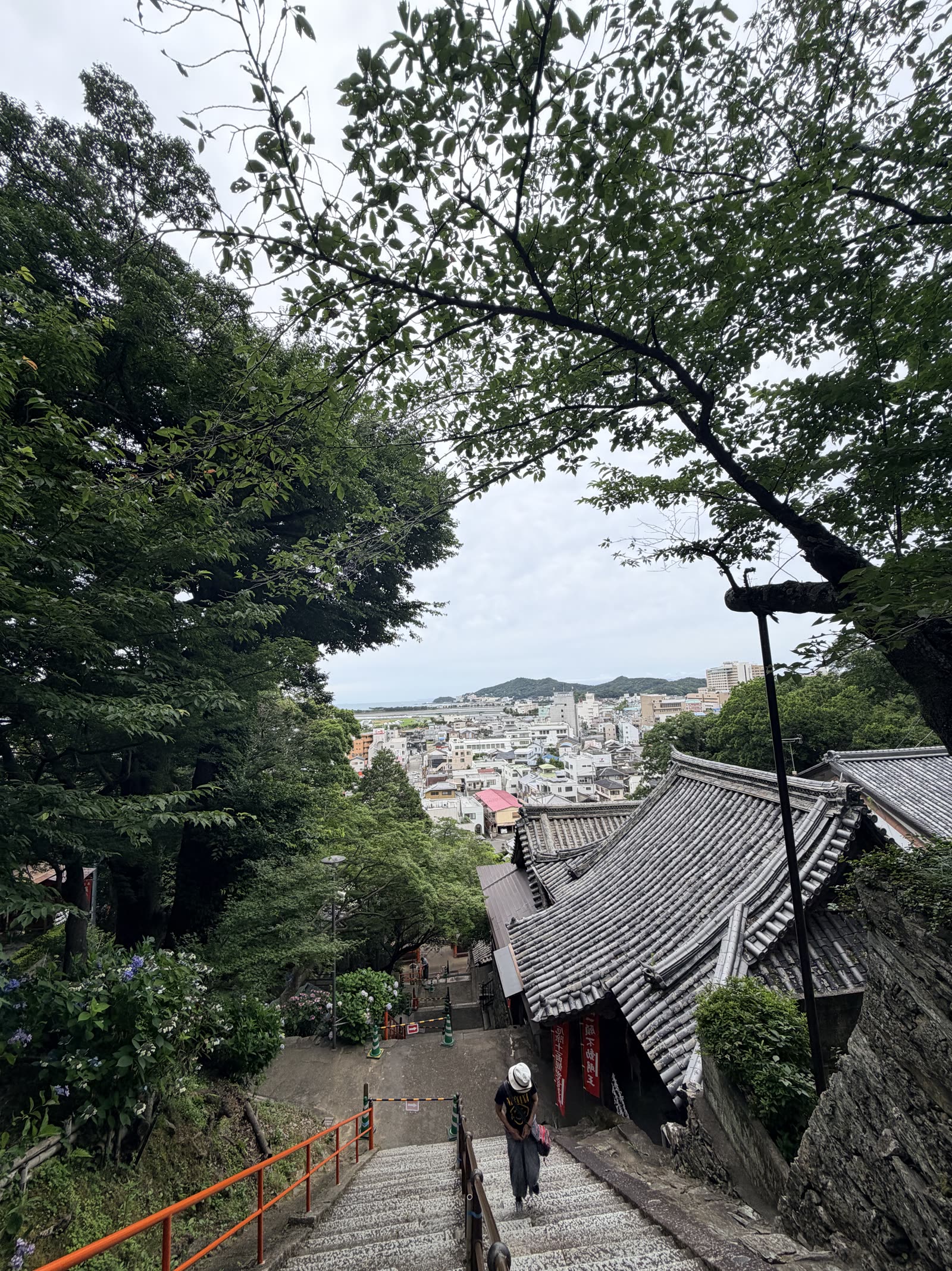 紀三井寺石梯途中俯瞰寺院屋瓦與市景
