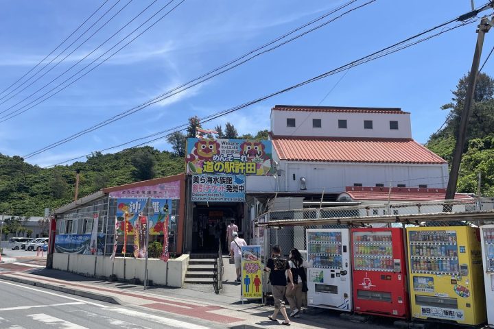 沖繩許田休息站攻略|美ら海折扣票、物產伴手禮與北部順路停靠