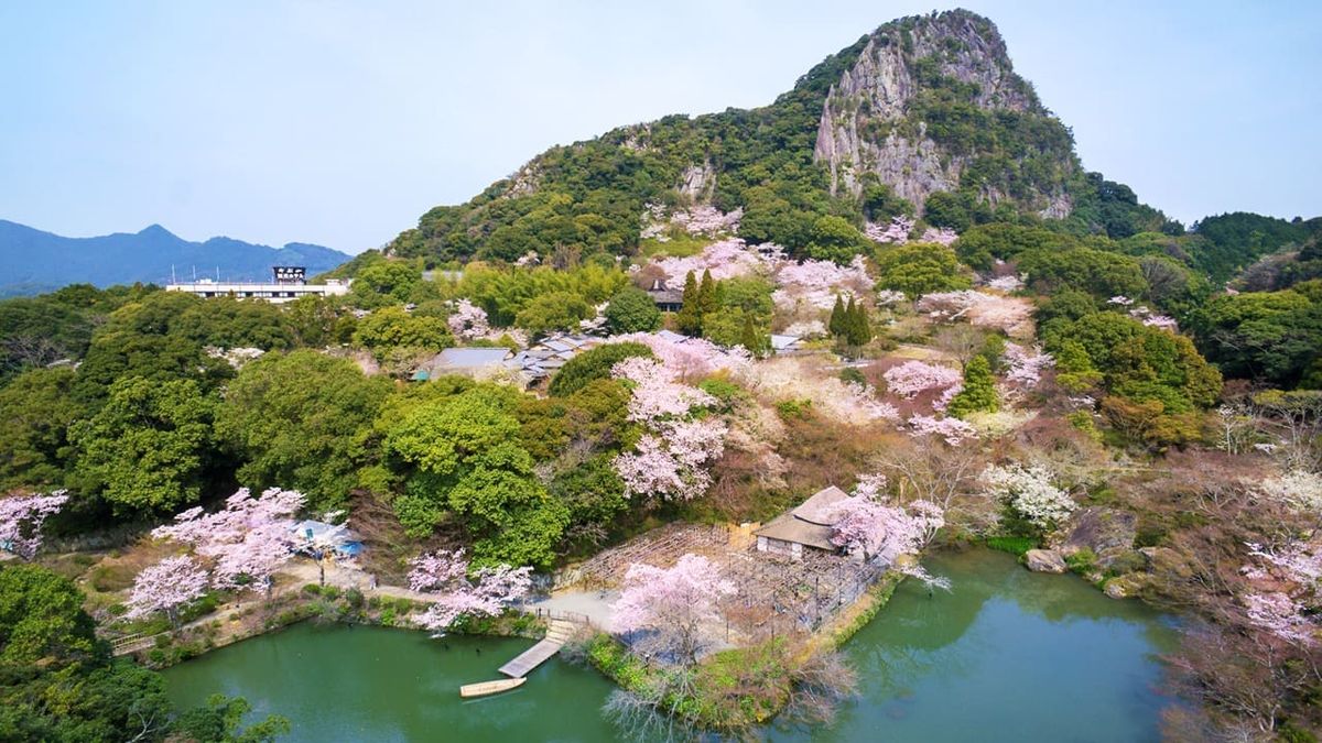 九州賞櫻包車五日遊 | 御船山樂園·熊本城·由布院·太宰府 春櫻精華路線