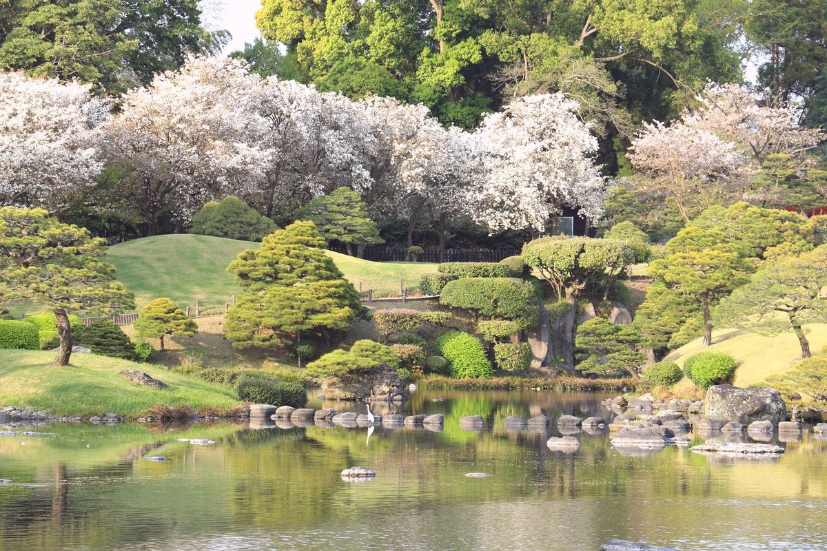 九州賞櫻包車五日遊 | 御船山樂園·熊本城·由布院·太宰府 春櫻精華路線 行程亮點